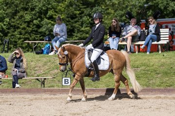 Bild 583 - Pony Akademie Turnier